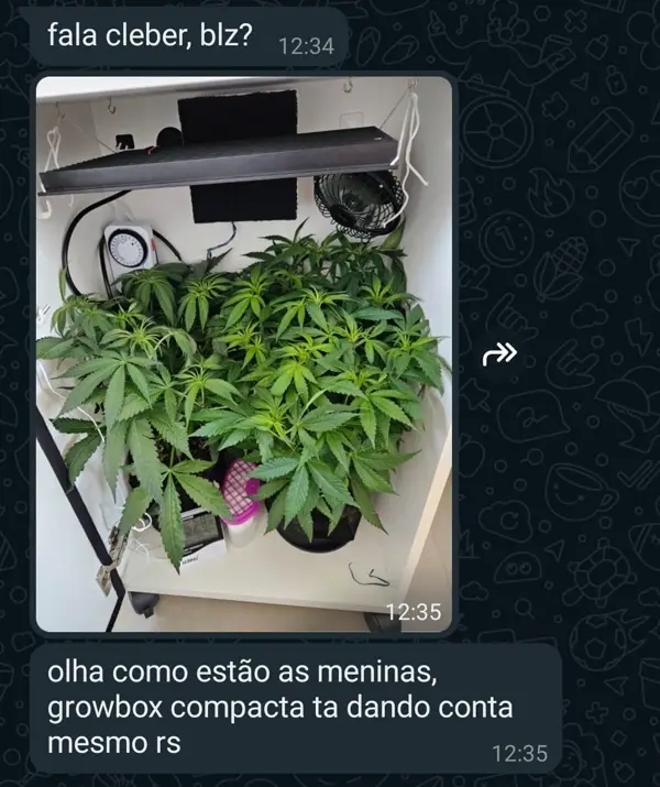 Compacta dando conta